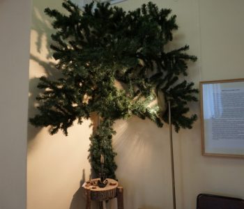 Exhibition “A tree was born in the forest”